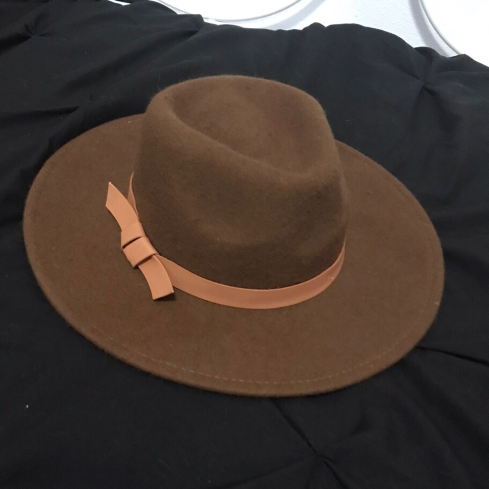 Wide Brimmed Brown Hat